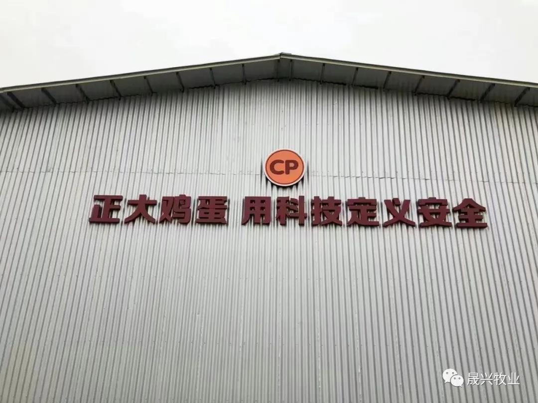 彩神(中国区) - 官方网站