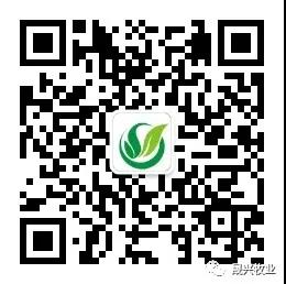 彩神(中国区) - 官方网站