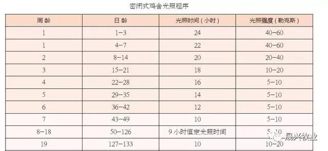 彩神集团