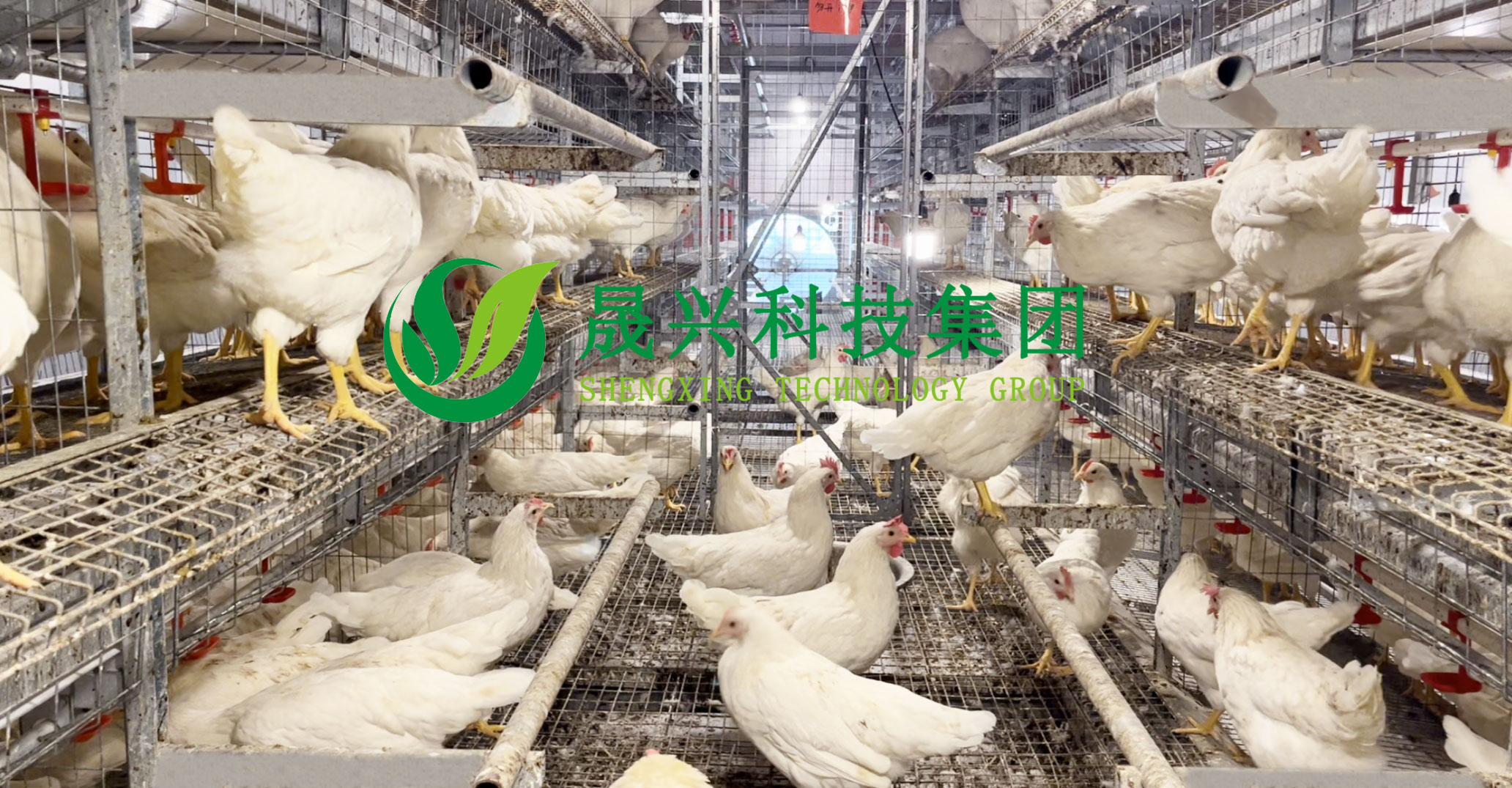 彩神(中国区) - 官方网站