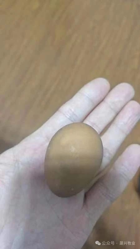 彩神(中国区) - 官方网站