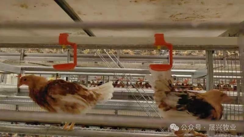 彩神(中国区) - 官方网站