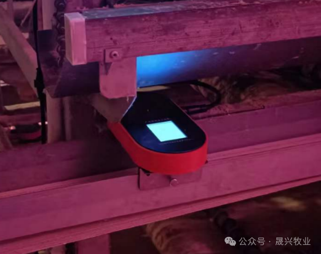 彩神(中国区) - 官方网站