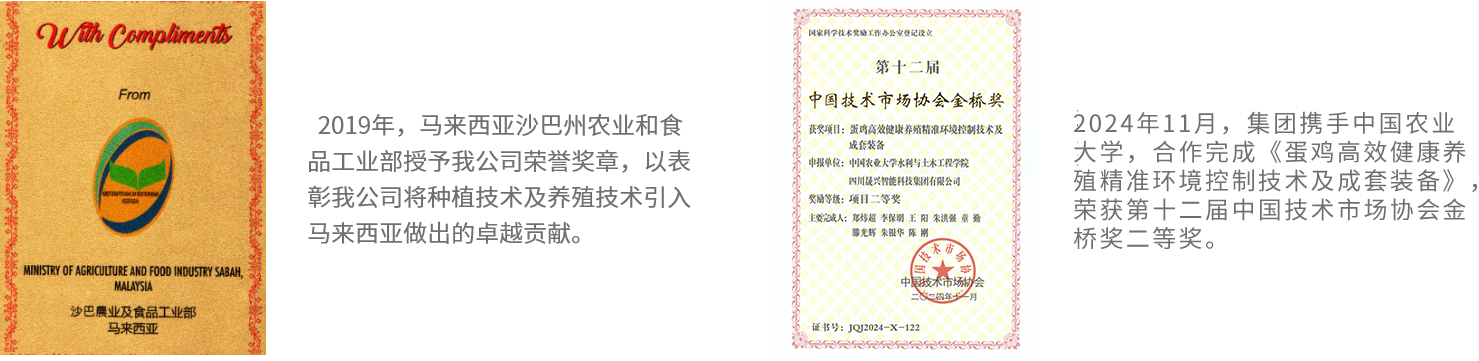 彩神(中国区) - 官方网站