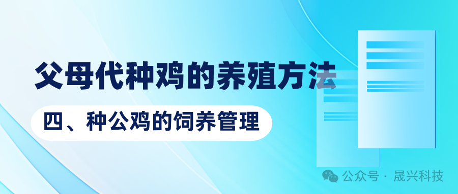 养鸡设备